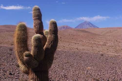 TREKKING NEL DESERTO DI ATACAMA 2015